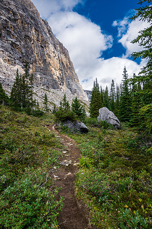 Dolomite Creek Trail.