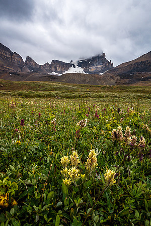 Dolomite Creek Trail.