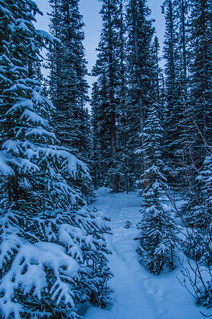 Early morning light on a well packed approach trail to the lake.