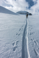 Ascending the Peyto Glacier.