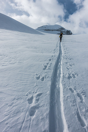 Ascending the Peyto Glacier.