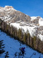 One last shot of Bill on the survival slope - it was very tracked out and tight skiing on sections.