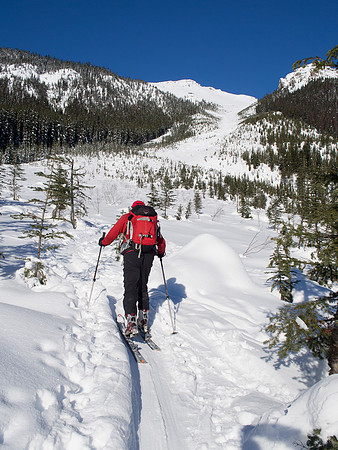 Bill leads the way up the first bench. There are hours of uphill skinning still ahead, even though the summit looks so close already.