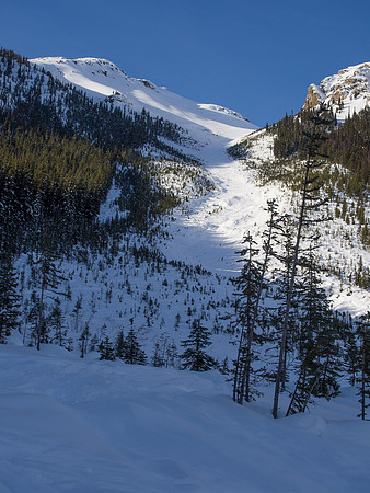 The best skiing is over. Now it's survival time down the final slope to the Emerald Lake trail.
