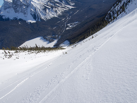 Looking down the slope - excellent snow up here! It's always over way too fast. What a waste to snowshoe something like this. :)
