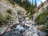 We decided to ascend the bank to the right and follow light forest instead of sticking right in the creek the whole way.