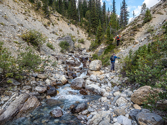 We decided to ascend the bank to the right and follow light forest instead of sticking right in the creek the whole way.