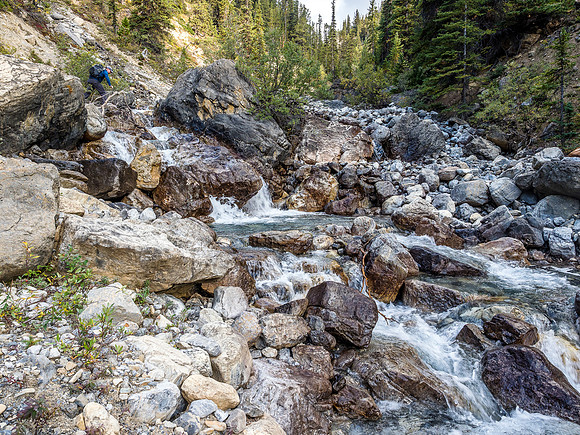 Some tricky hiking up the creek to avoid too much sidehilling and wet feet.