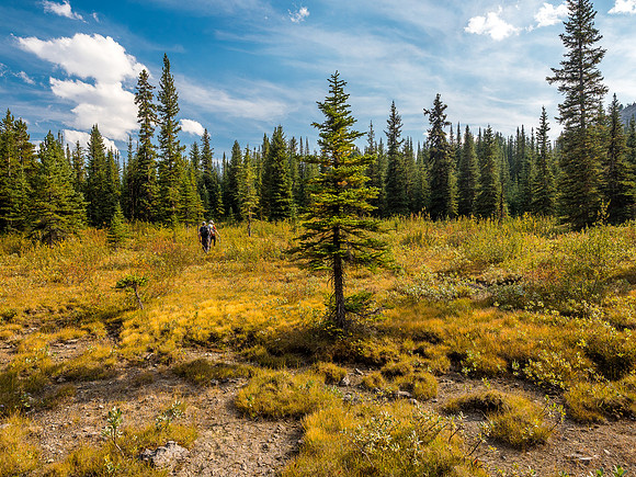Fall colors are showing up.