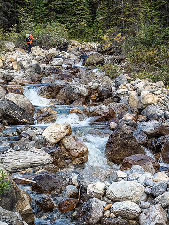 The creek was surprisingly high as we started up it.