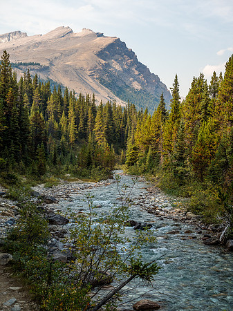 Mosquito Creek.