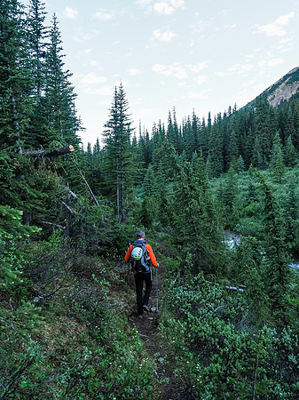 Phil heads down the Helen Creek trail to our first water crossing of the day - across Helen Creek.