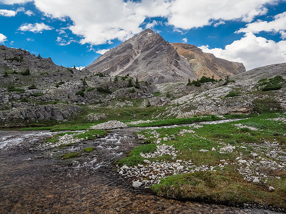 Looking back up at the lower slopes of Bobac Mountain.]