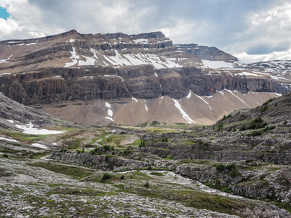The landscape along the Lake Alice outflow stream is unique.
