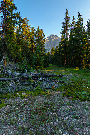 Prow Mountain from the Cascade fire road approach hike.