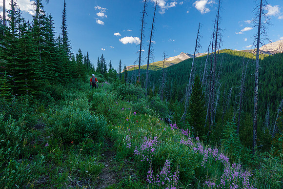 Hiking up the Cascade fire road past Prow Mountain.