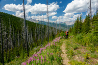 Hiking out along the Cascade fire road.