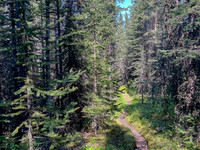 Hiking to the Scotch Camp Warden Cabin.