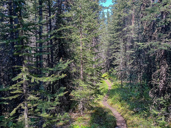 Hiking to the Scotch Camp Warden Cabin.