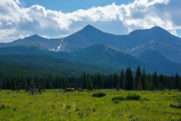 Prow Mountain over the large meadows at the Scotch Camp Warden Cabin.