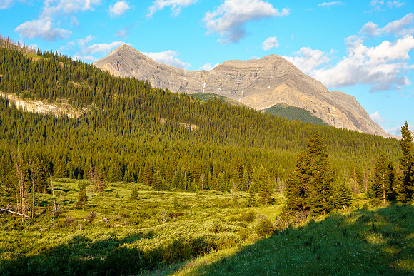 Greater (L) and Prow Mountain from the start of our hike near Scotch Camp.