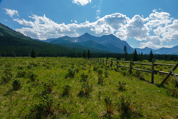 Prow Mountain over the large meadows at the Scotch Camp Warden Cabin.