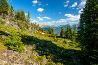 At treeline on Prow's east slopes.