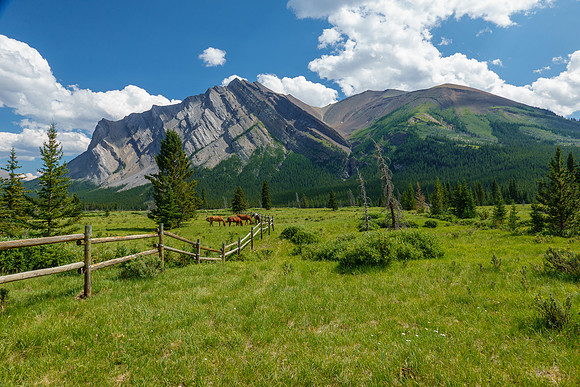 Mount White over the large meadows at the Scotch Camp Warden Cabin.