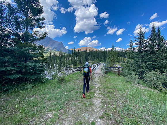 Returning along the Cascade fire road from the Scotch Camp.