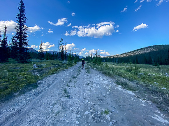 Biking back on the Cascade fire road through the Ya Ha Tinda ranch.