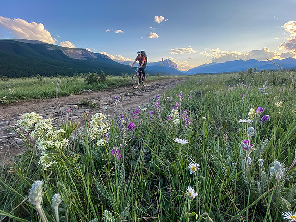 Biking back on the Cascade fire road through the Ya Ha Tinda ranch.
