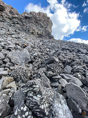 Note the fossil layer in the rubble?