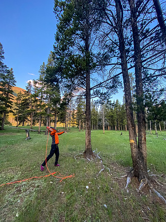 Phil tries to throw up a bear rope at Scotch Camp.