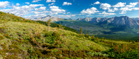 At treeline on Prow's east slopes. Views over the Red Deer River to Divide Pass (C).