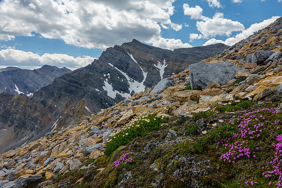 Mountains and flowers.