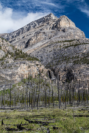 Impressive cliffs on Wapiti.