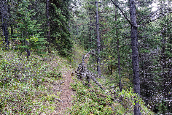 The trail dips into forests and crosses meadows.
