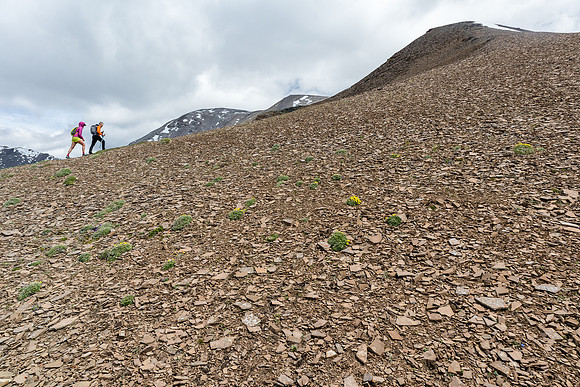 Easy scree slopes to the false summit on the west ridge of Wapiti Mountain.