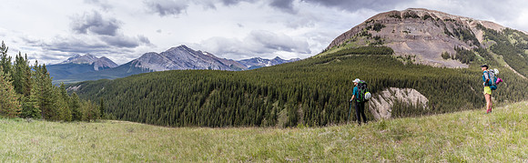 Hiking the Tomahawk Pass / Tyrrell Creek trail.