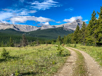 Biking through Ya Ha Tinda towards a distant Warden Rock and the Banff Park boundary.