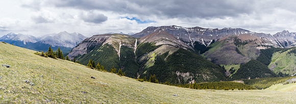 Views back to the west over Tyrrell Creek.
