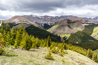Views back across Tyrrell Creek to Mount Tyrrell (L).