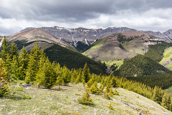 Views back across Tyrrell Creek to Mount Tyrrell (L).