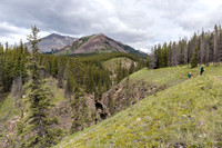 Views over a deeply cut Tyrrell Creek to Mount Tyrrell (L).