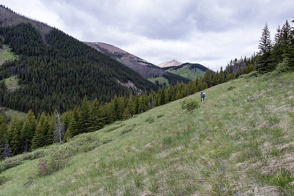 Hiking the Tomahawk Pass / Tyrrell Creek trail.