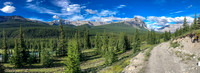 Biking through Ya Ha Tinda towards a distant Warden Rock and the Banff Park boundary.