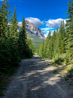 Biking through Ya Ha Tinda towards a distant Warden Rock and the Banff Park boundary.