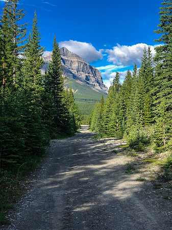 Biking through Ya Ha Tinda towards a distant Warden Rock and the Banff Park boundary.