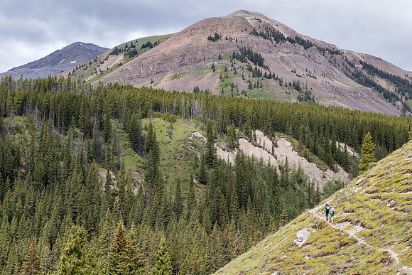 Hiking the Tomahawk Pass / Tyrrell Creek trail.