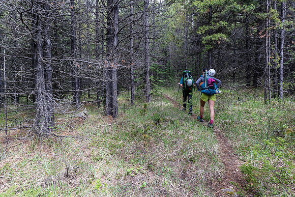 The trail dips into forests and crosses meadows.